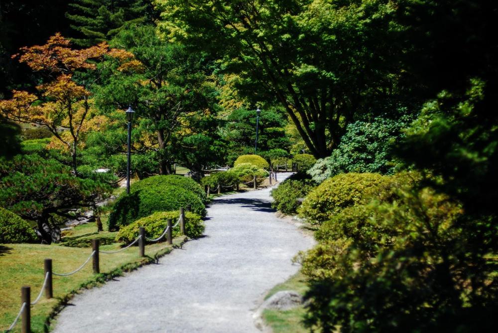 aménagement de jardin