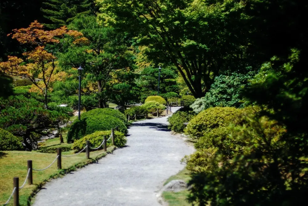 Allée jardin près de Cousance